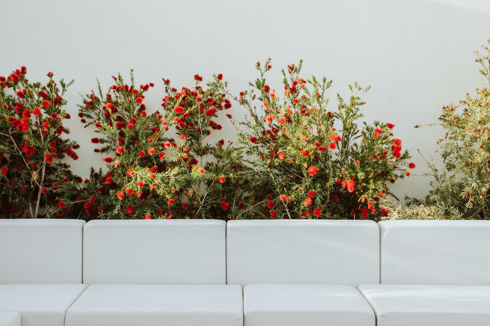 Bloementuin — Hotel Es Princep
