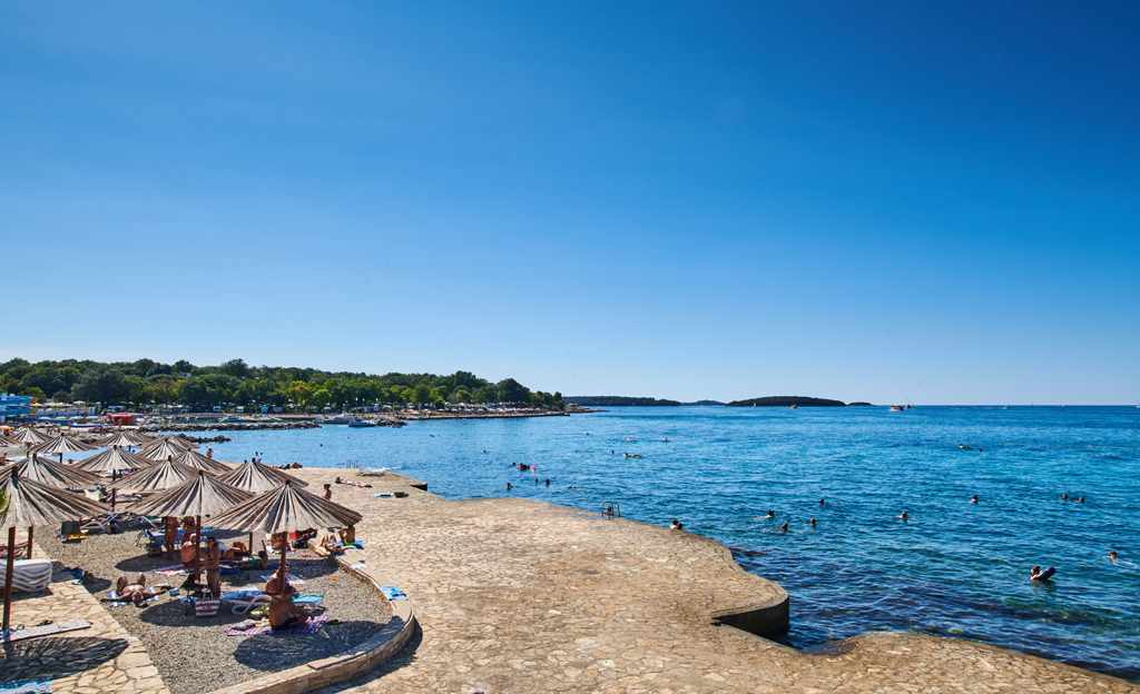 Hotel Delfin Plava Laguna image 2