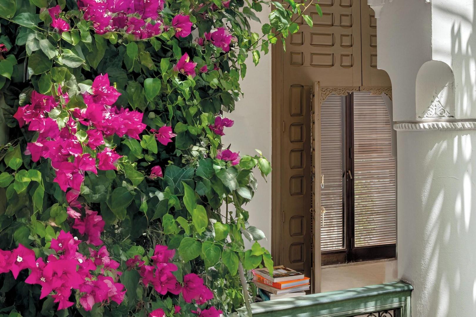 Riad Jaaneman foto 33