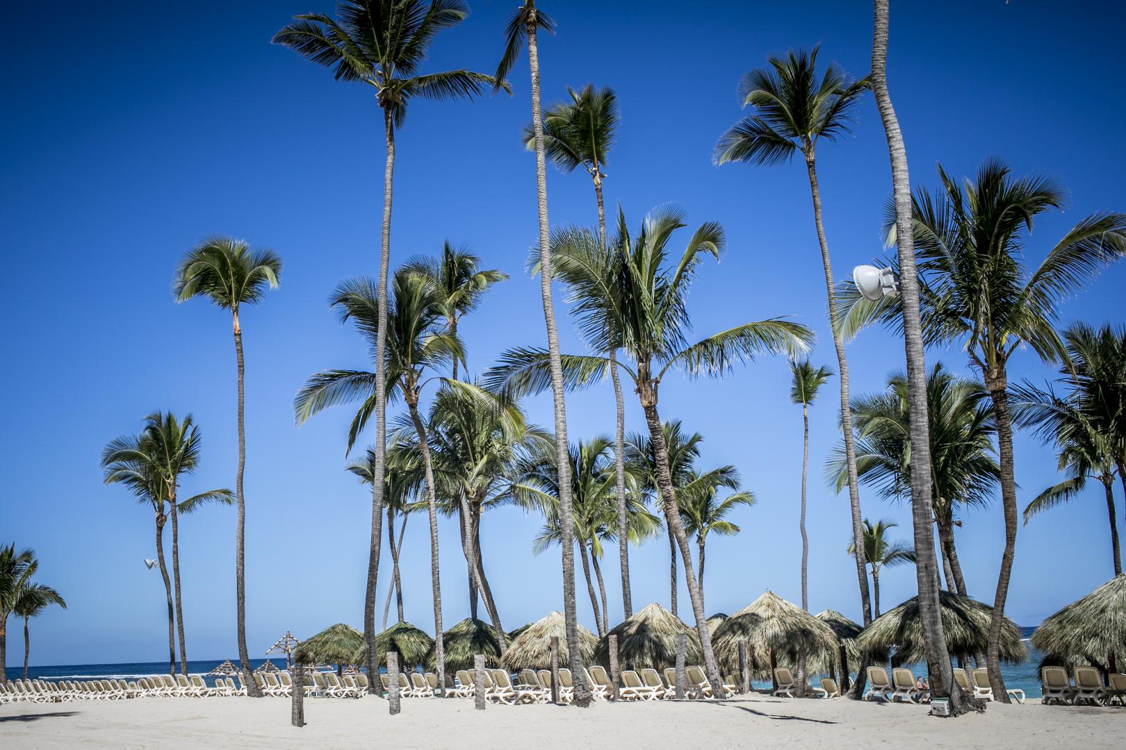 Majestic Colonial Punta Cana Resort foto 15