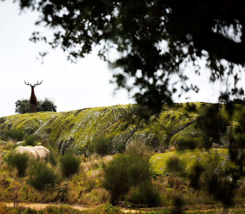 Herdade da Rocha - Boutique Lodge foto 33