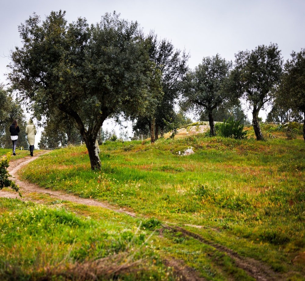 Herdade da Rocha - Boutique Lodge foto 46