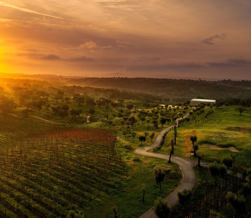 Herdade da Rocha - Boutique Lodge foto 35