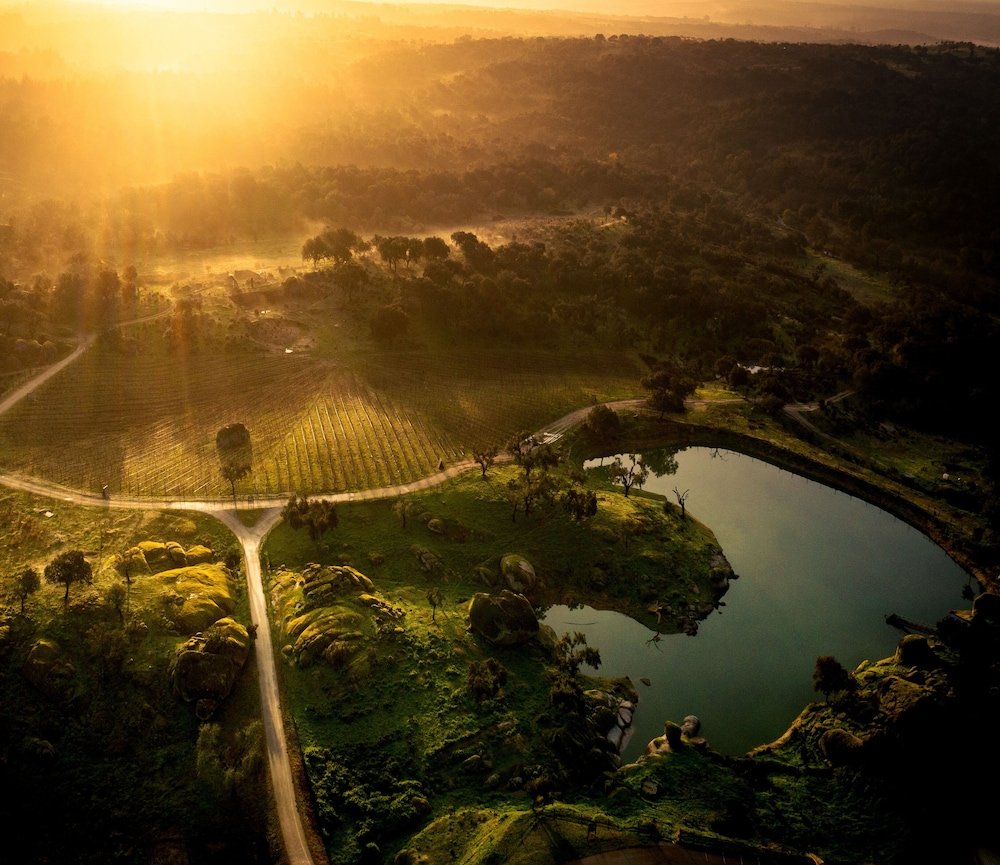 Herdade da Rocha - Boutique Lodge foto 31