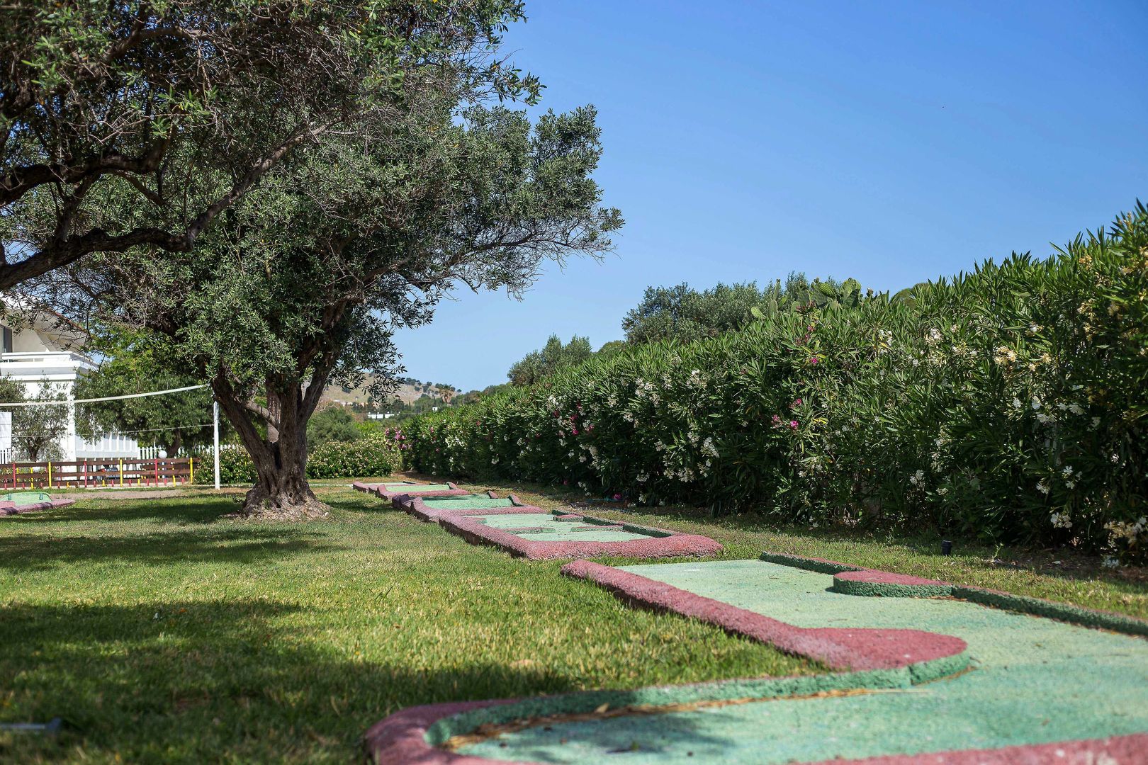 Niriides Hotel foto 16
