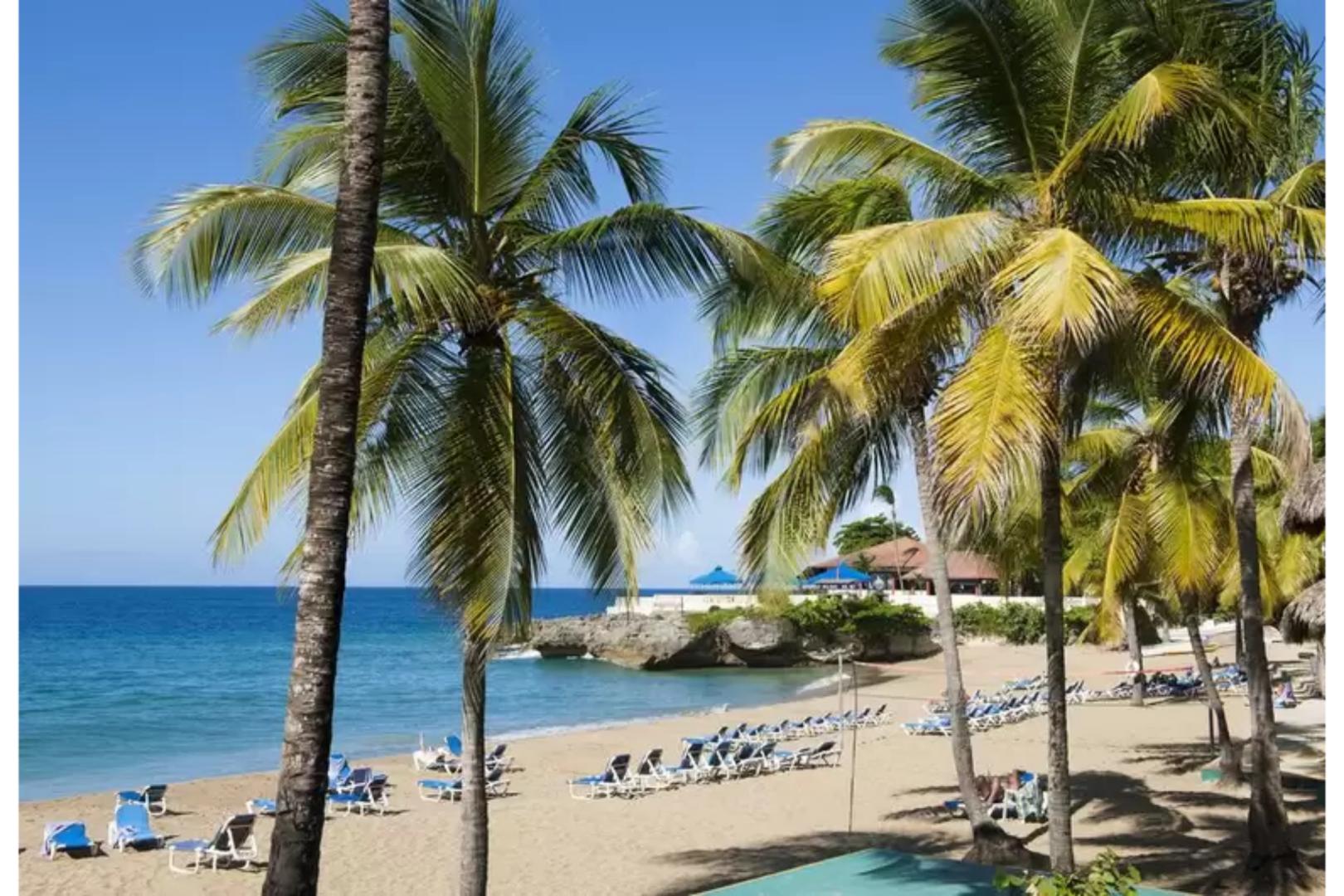Casa Marina Beach & Reef foto 6