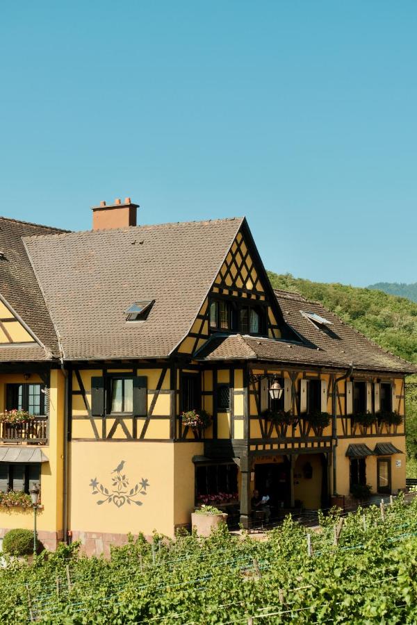 een huis midden in een wijngaard bij Hôtel Arnold in Itterswiller