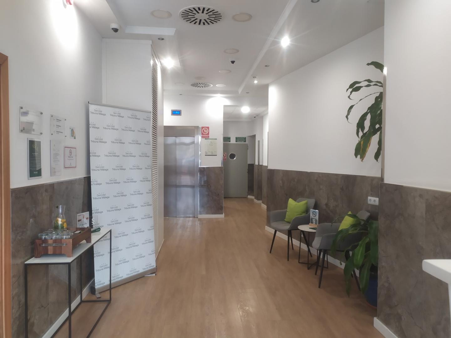 Sercotel Tribuna Málaga image 3