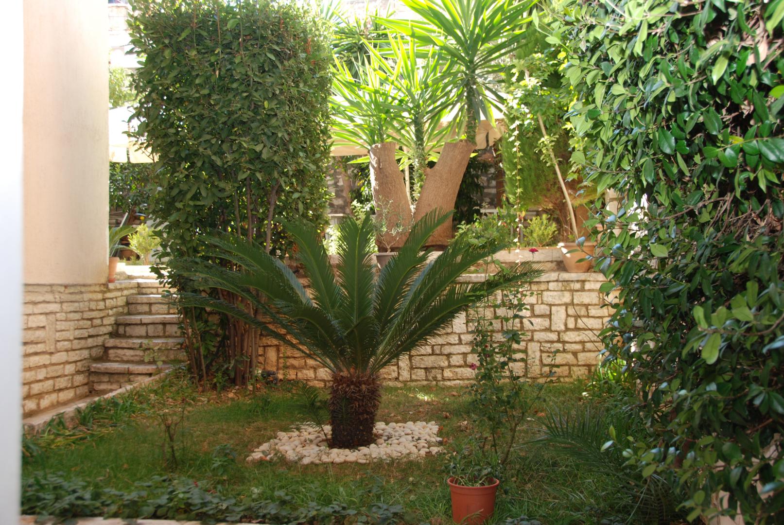 Hotel Mano foto 2
