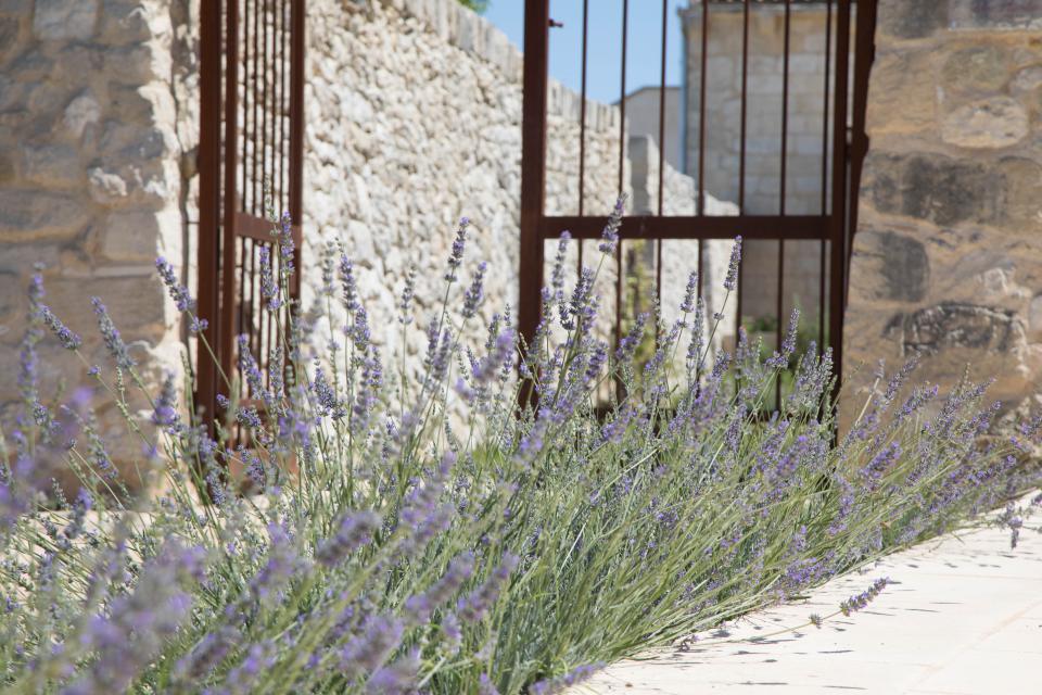 Don Agostino Relais Masseria foto 25