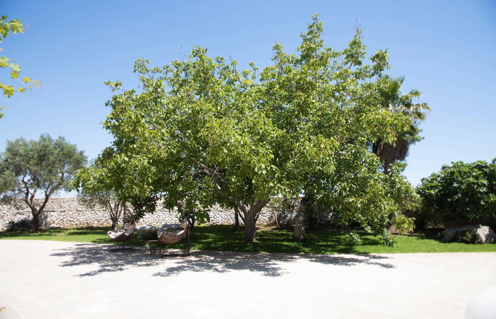 Don Agostino Relais Masseria foto 34