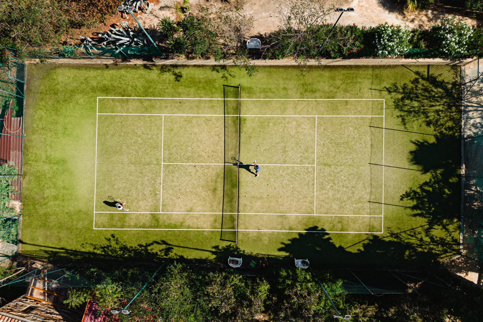 Alberi del Paradiso foto 16