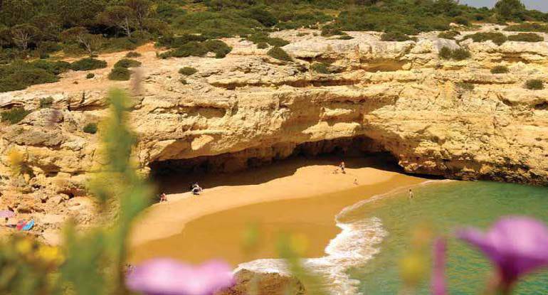 Vila Alba Resort image 2