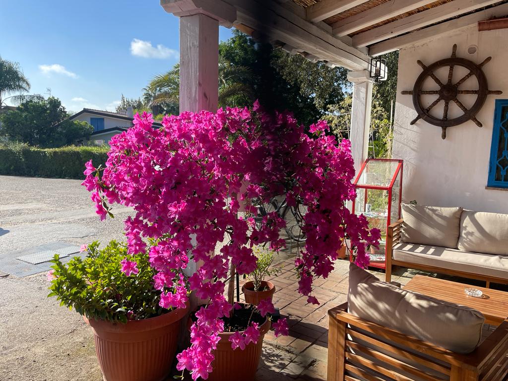 Baia D'Oro image 3