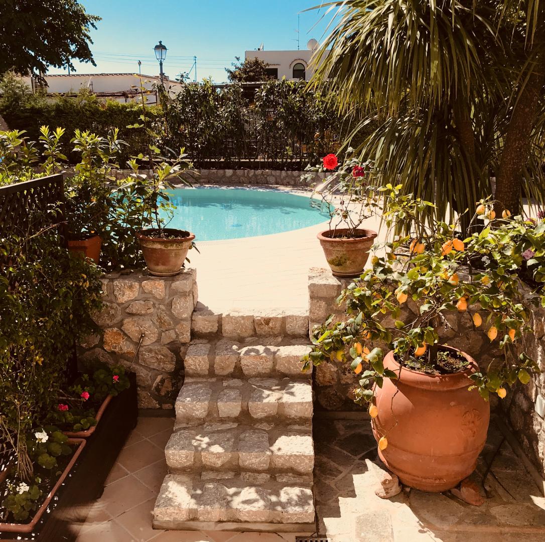 Capri Bougainville foto 15