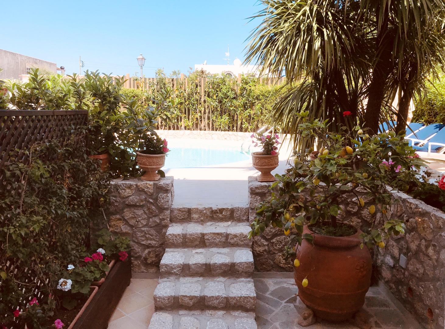 Capri Bougainville foto 10