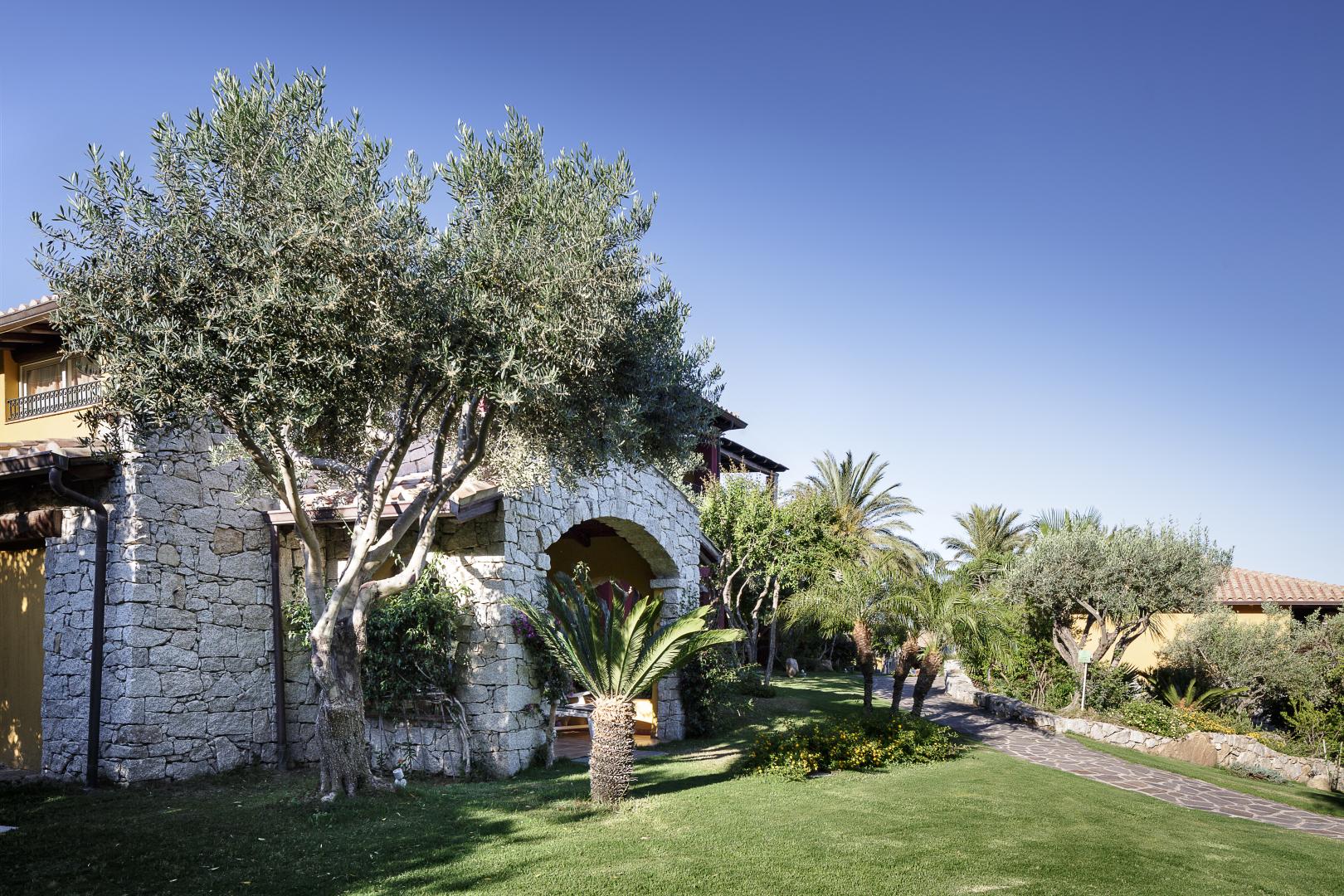 Tropische tuin met palmbomen — Cruccuris Resort