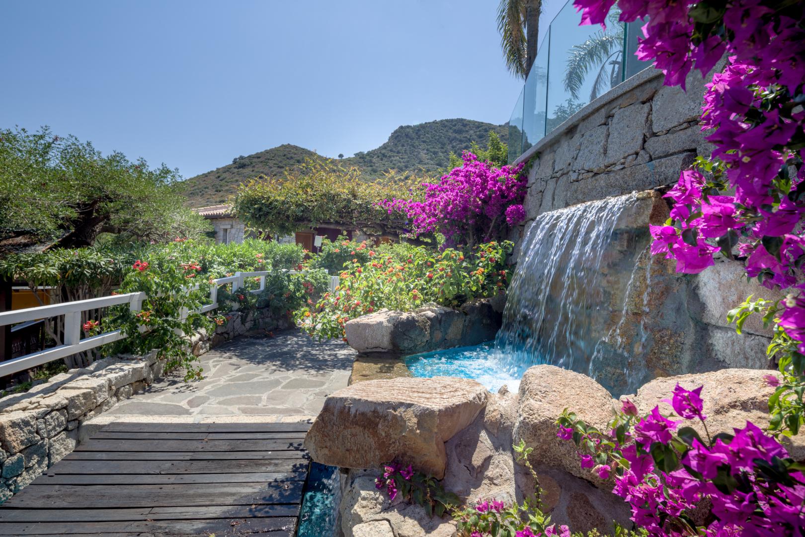 Tropische tuin met palmbomen — Cruccuris Resort