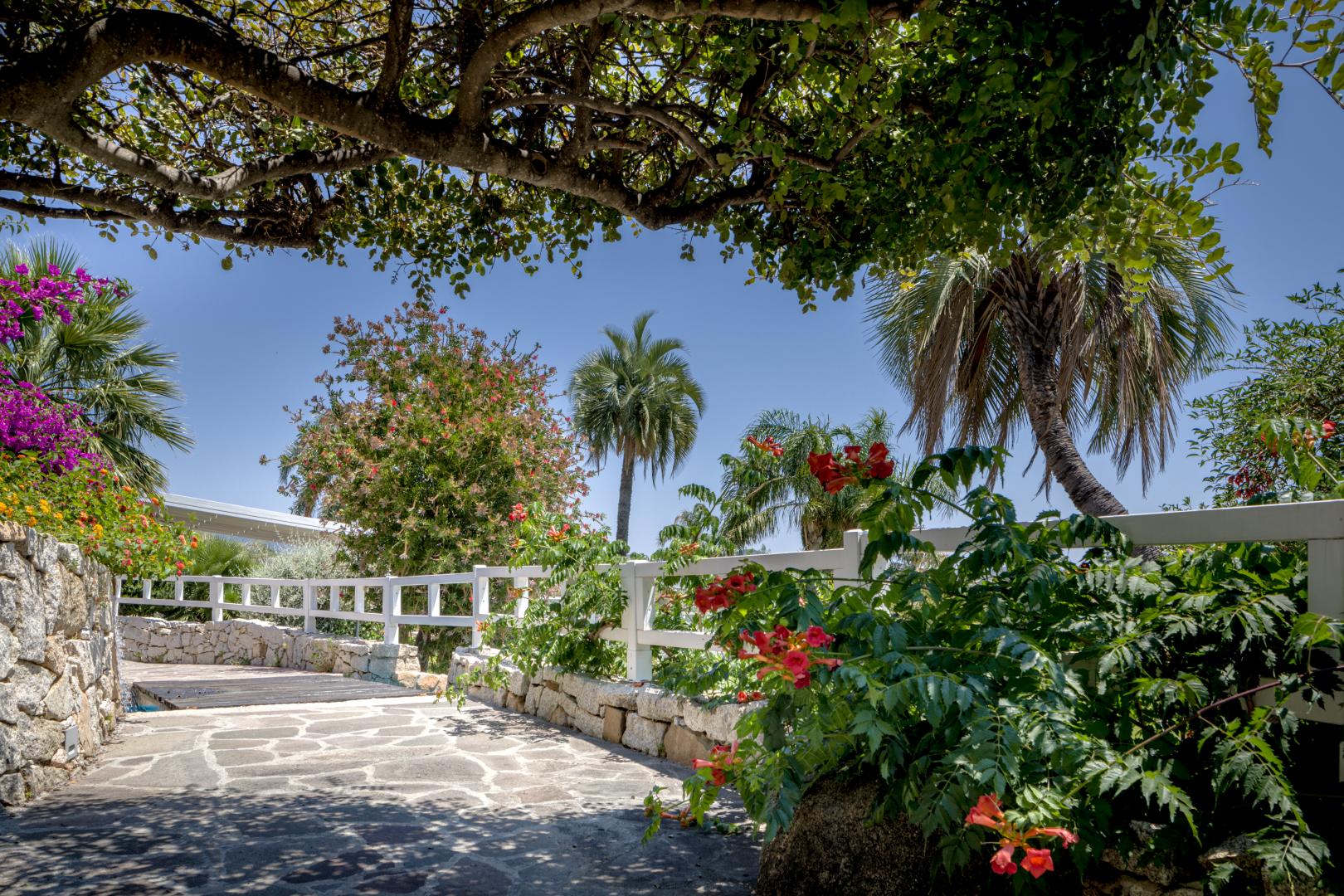 Tropische tuin met palmbomen — Cruccuris Resort