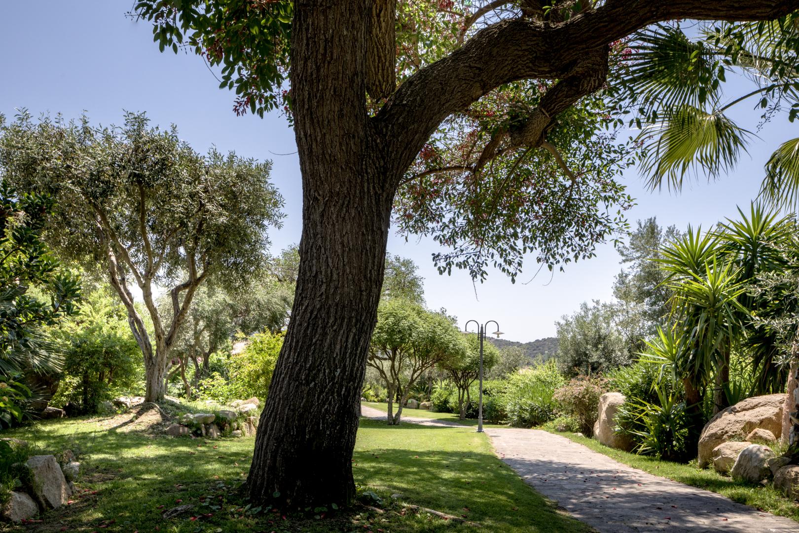 Binnenplaats — Cruccuris Resort