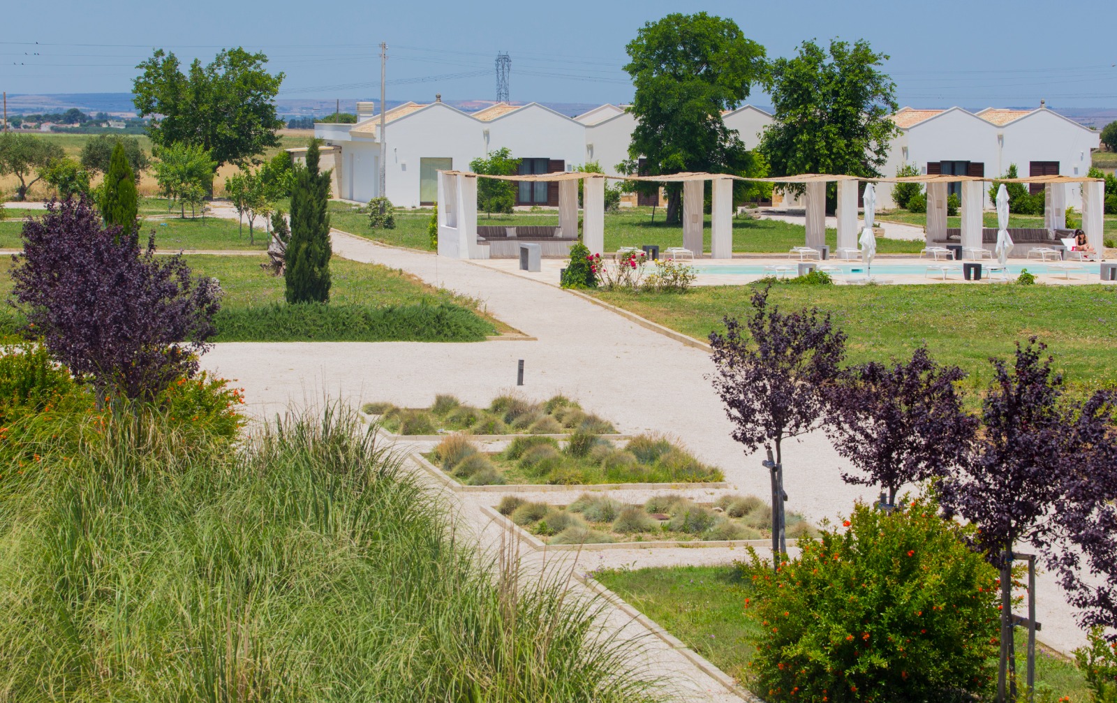 Masseria Fontana di Vite foto 18