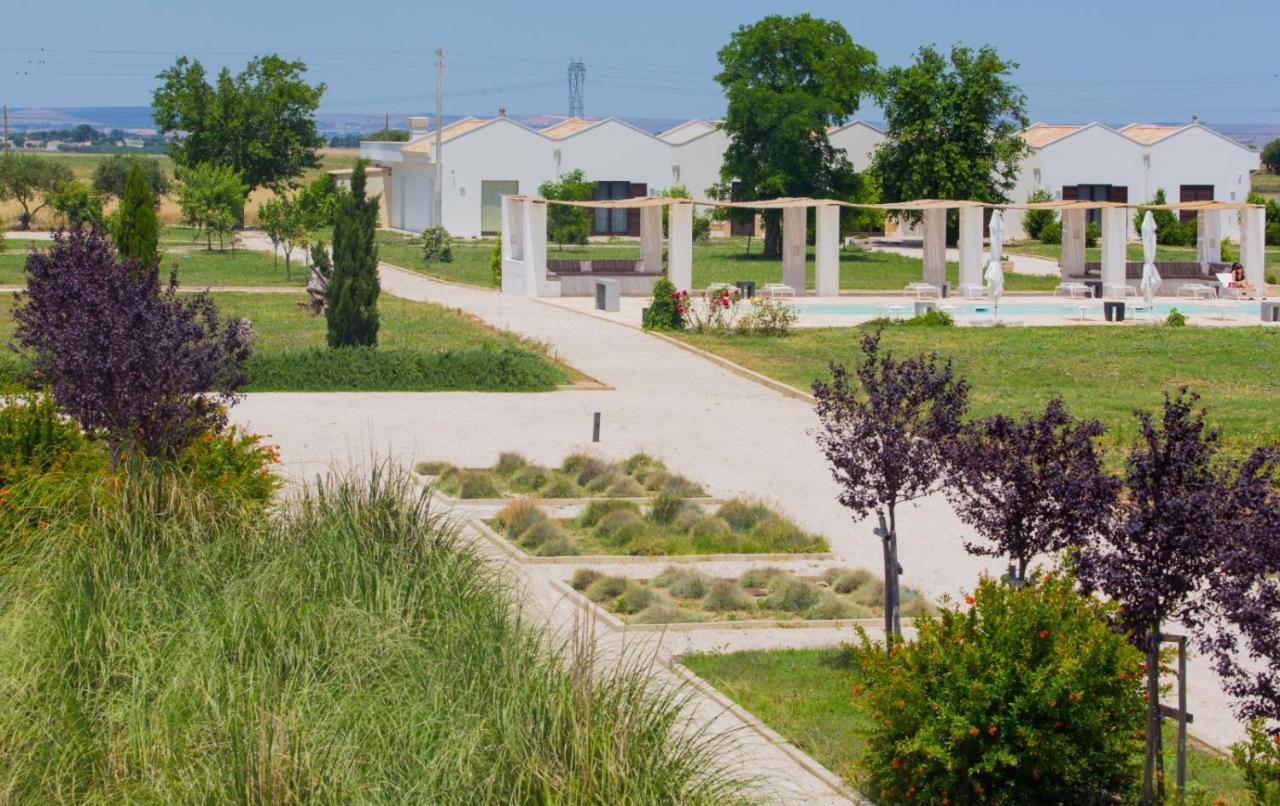 Masseria Fontana di Vite foto 1
