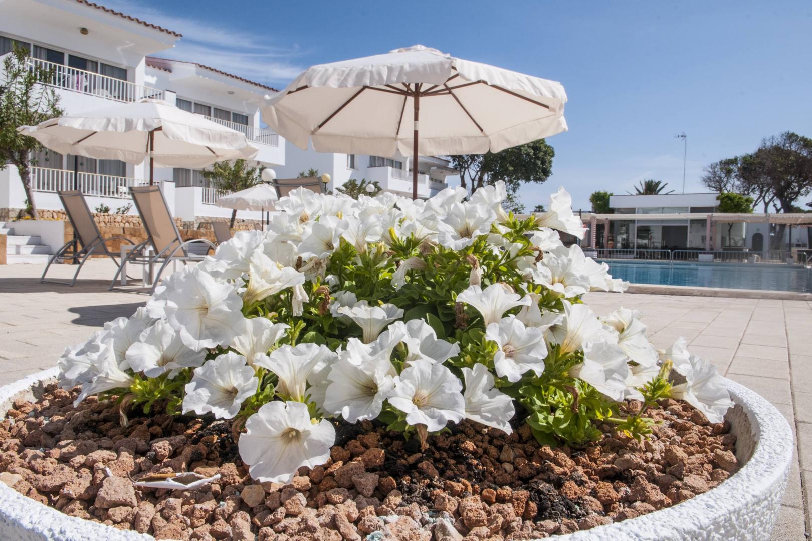 Naranjos Resort Menorca foto 16
