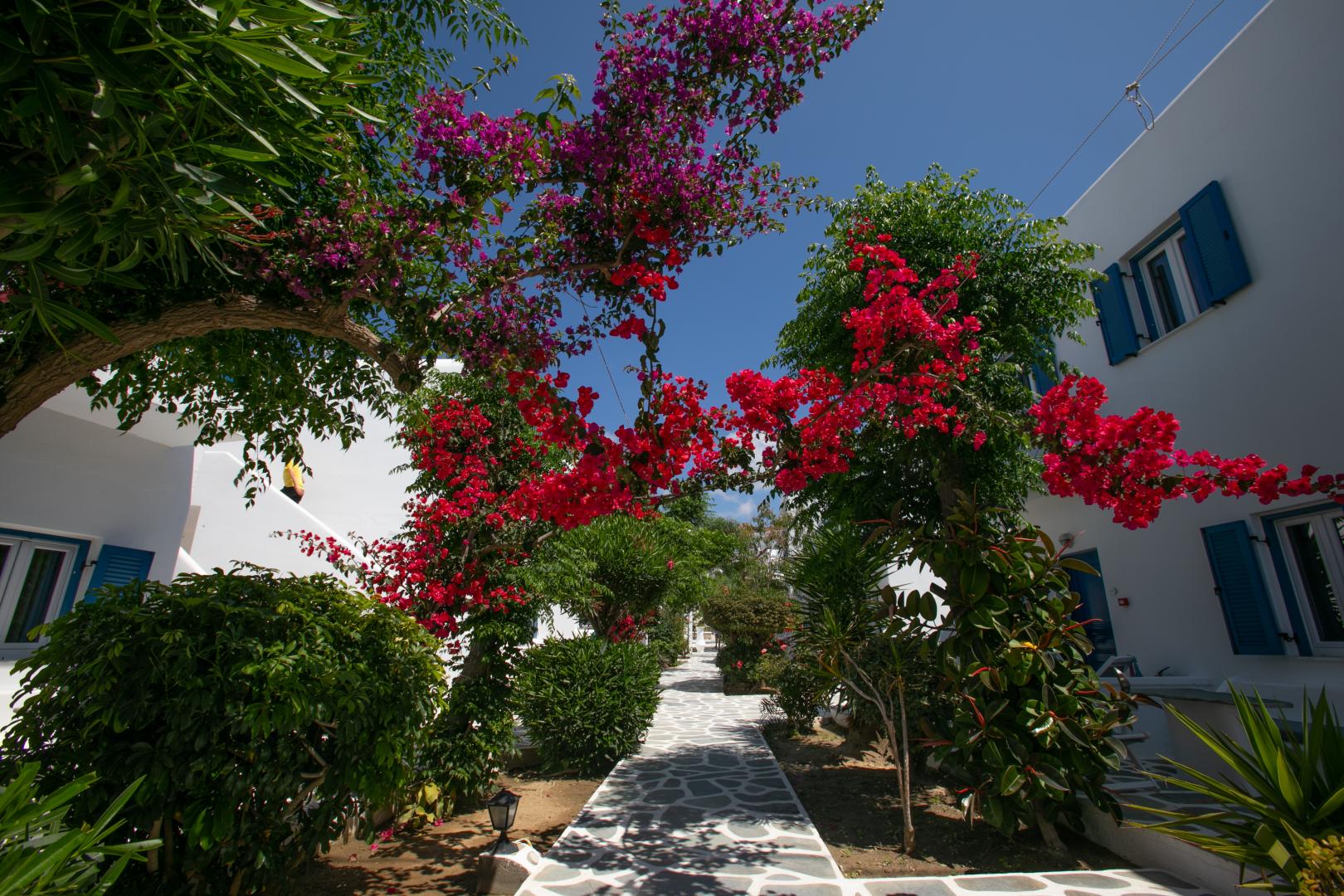 Hotel Acrogiali