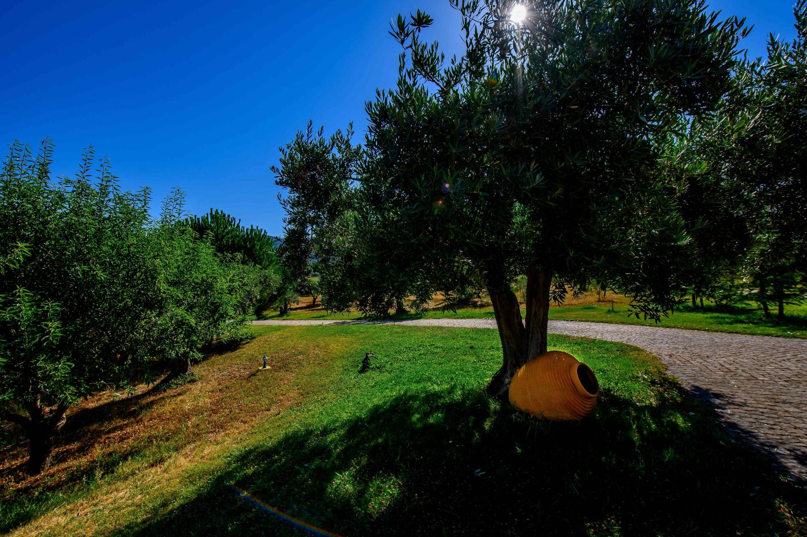 Quinta Do Quinto foto 18
