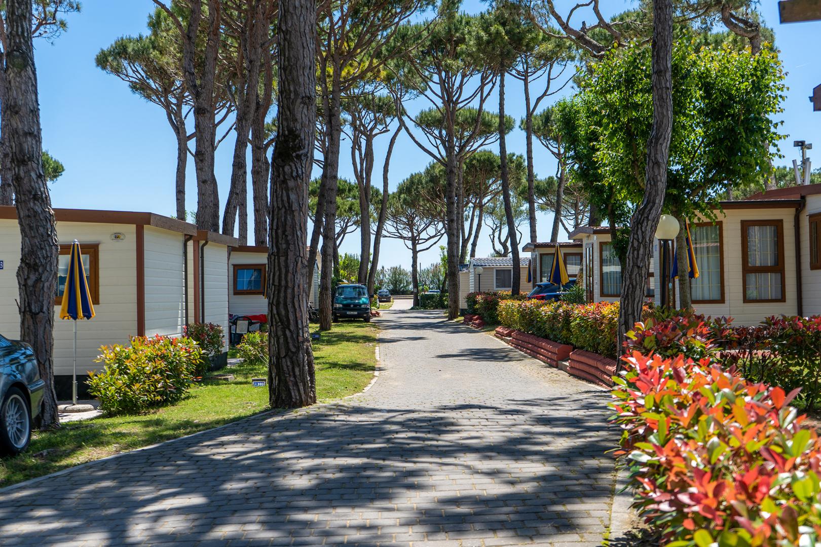 Baia Holiday Cavallino foto 18