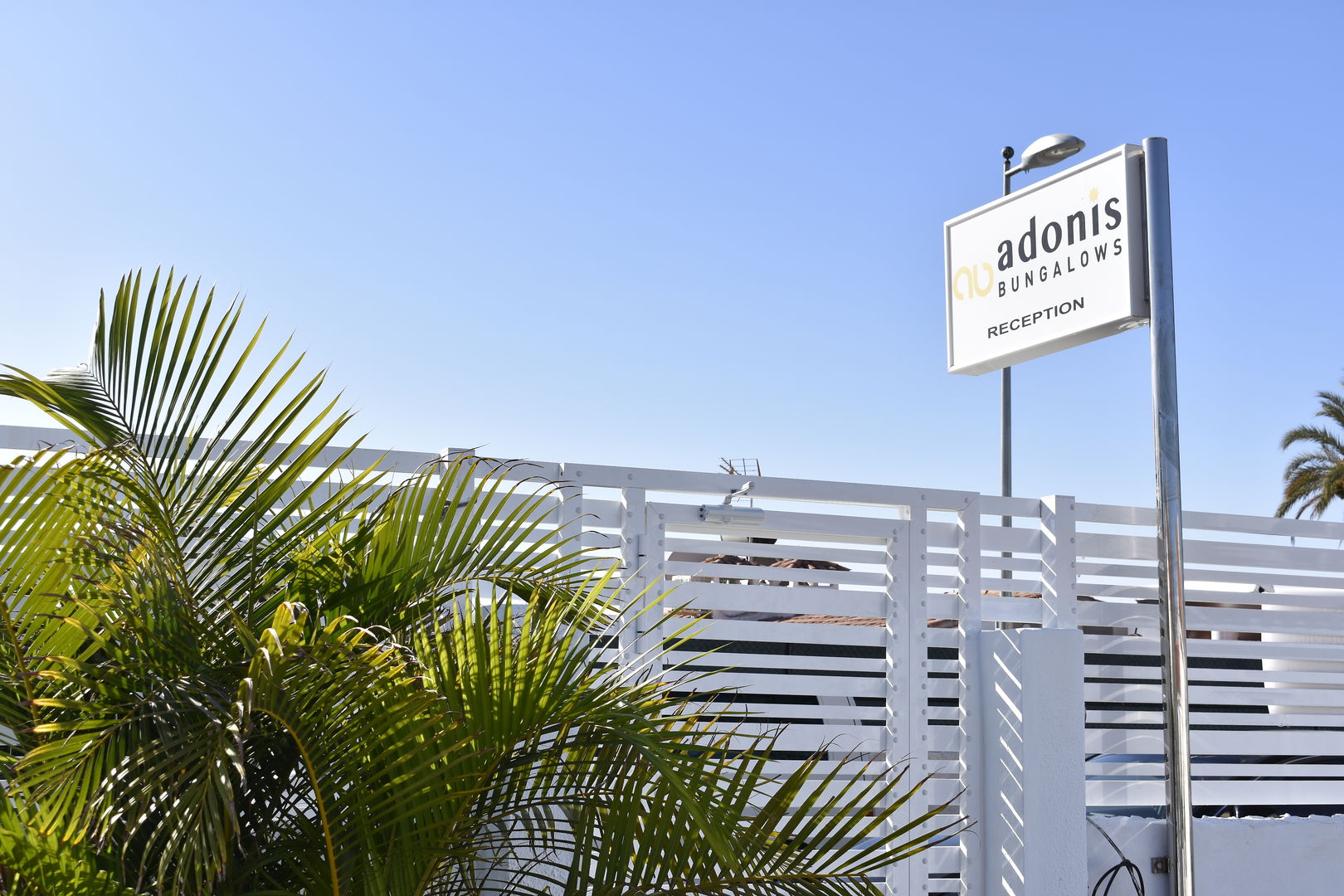 Bungalows Adonis foto 17