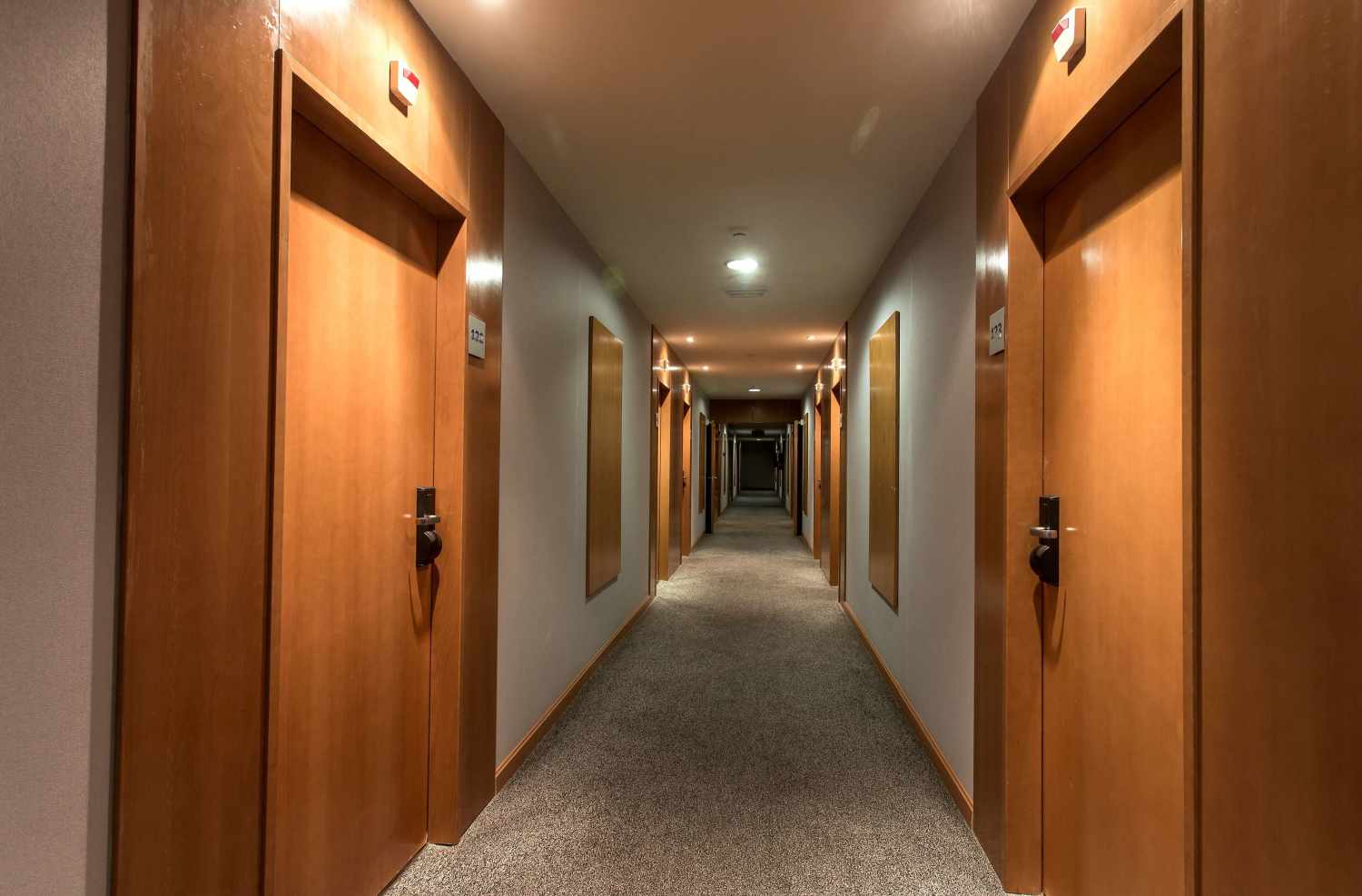 Sercotel Hotel AG Express Elche foto 4