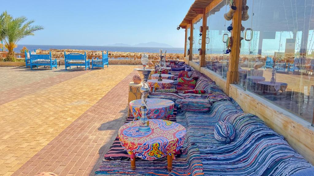 Sharm Reef foto 11