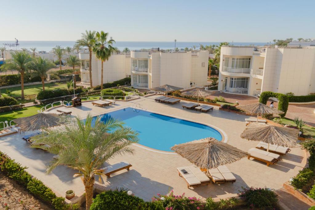 Sharm Reef foto 14