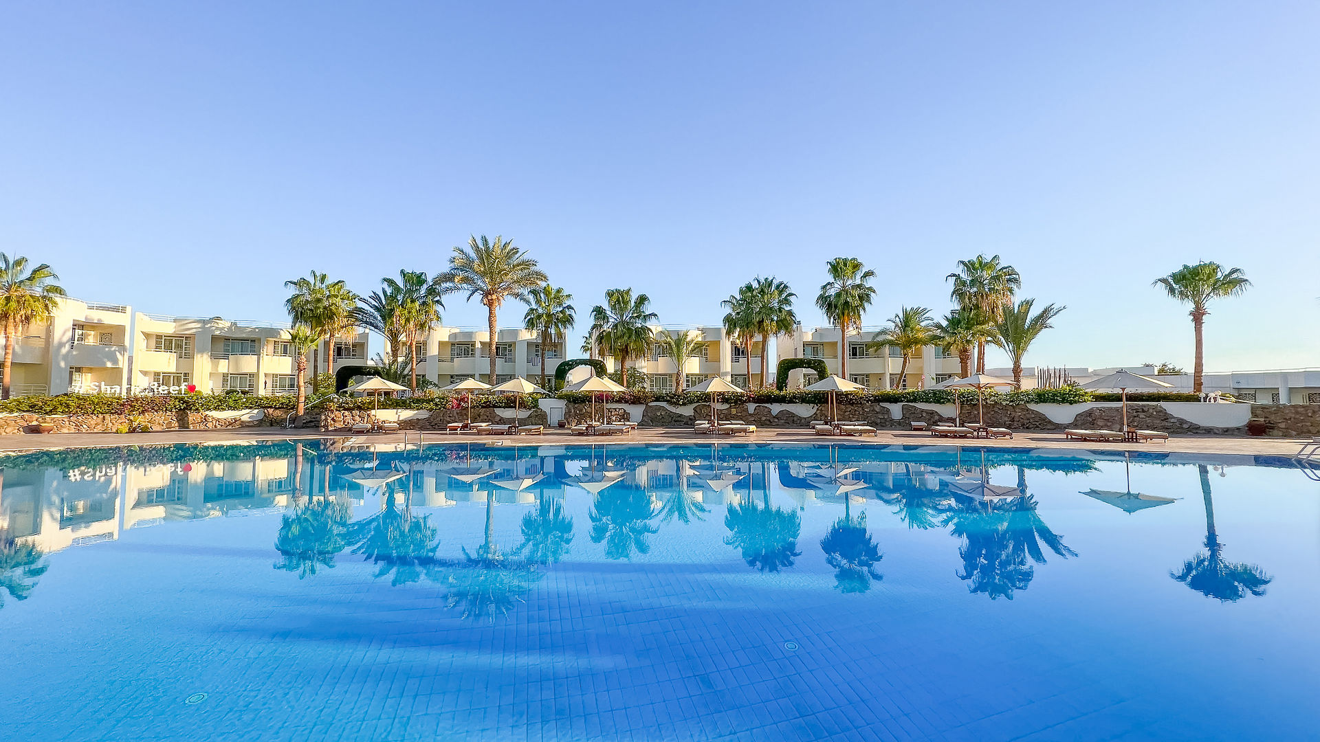 Sharm Reef foto 6