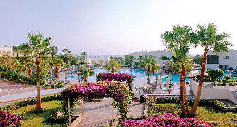 Sharm Reef in Sharm el Sheikh - foto 5