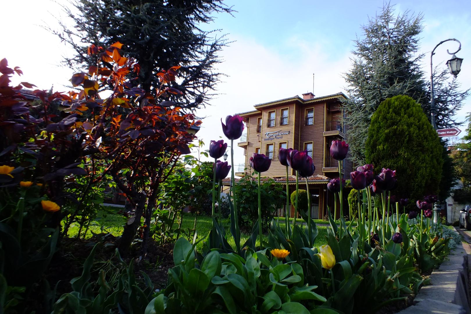 Turquhouse Boutique Hotel foto 14