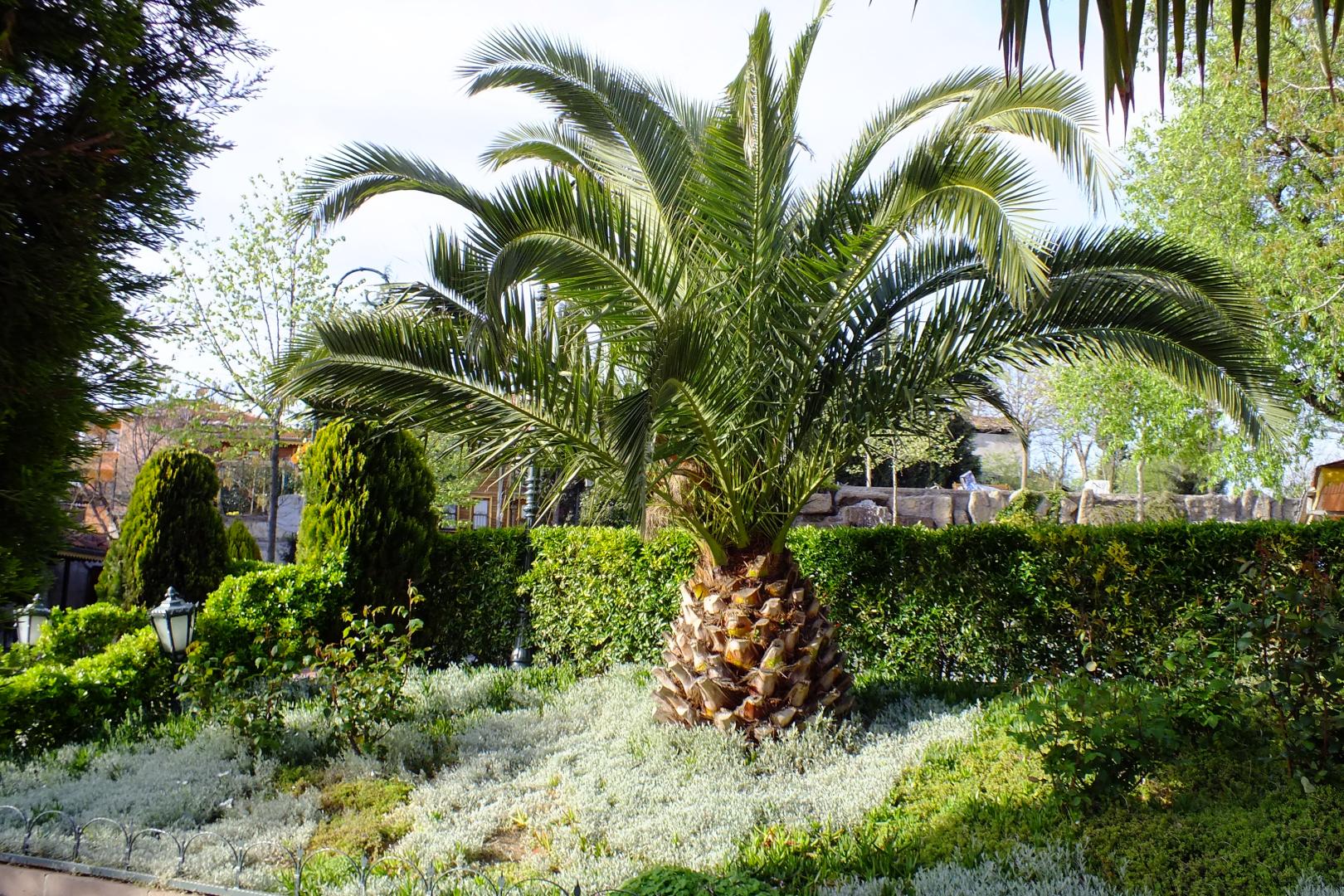 Turquhouse Boutique Hotel foto 15