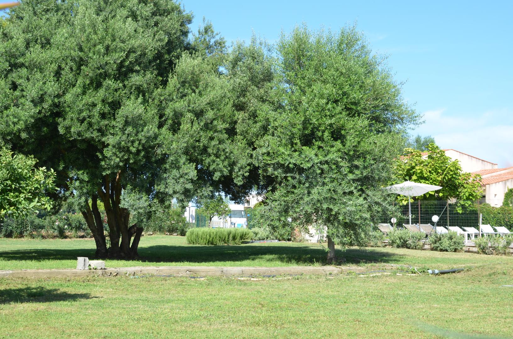 Villa Teti foto 28