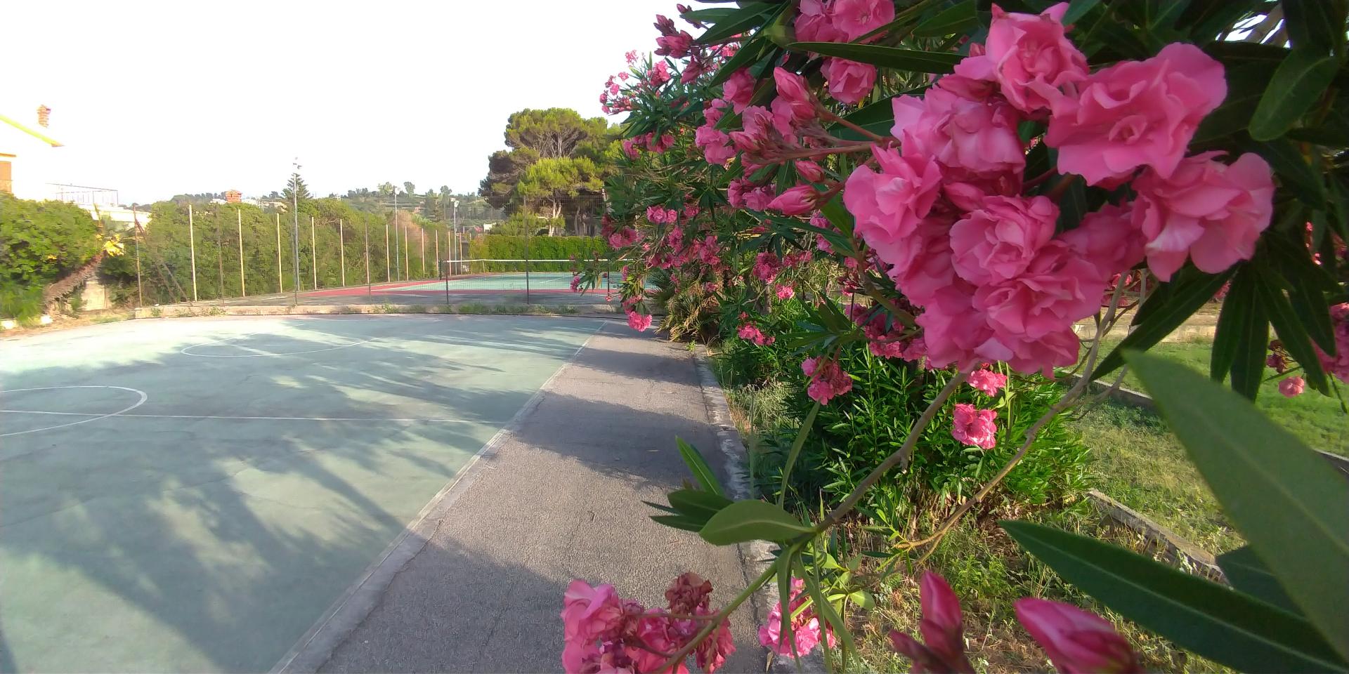Villa Teti foto 12