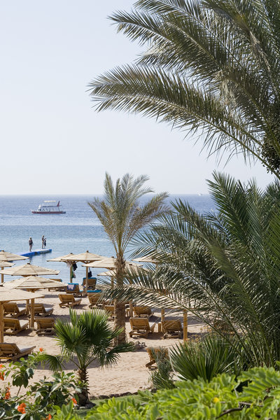Novotel Sharm el Sheikh Beach Hotel foto 9