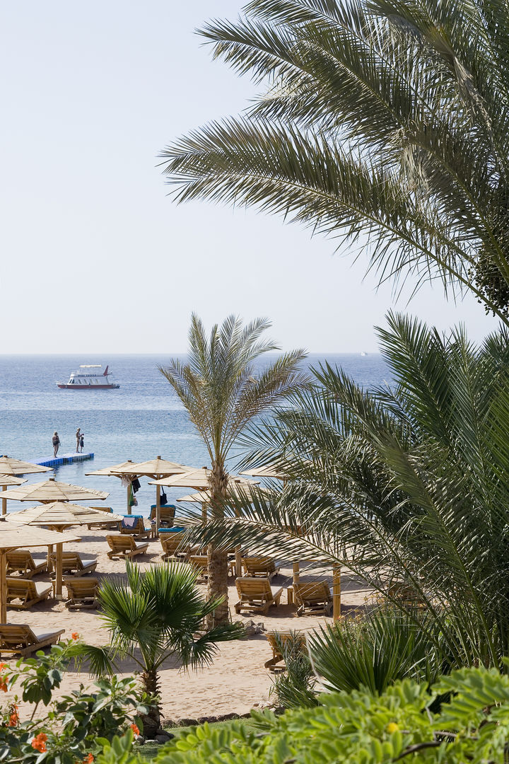 Novotel Sharm el Sheikh Beach Hotel foto 10