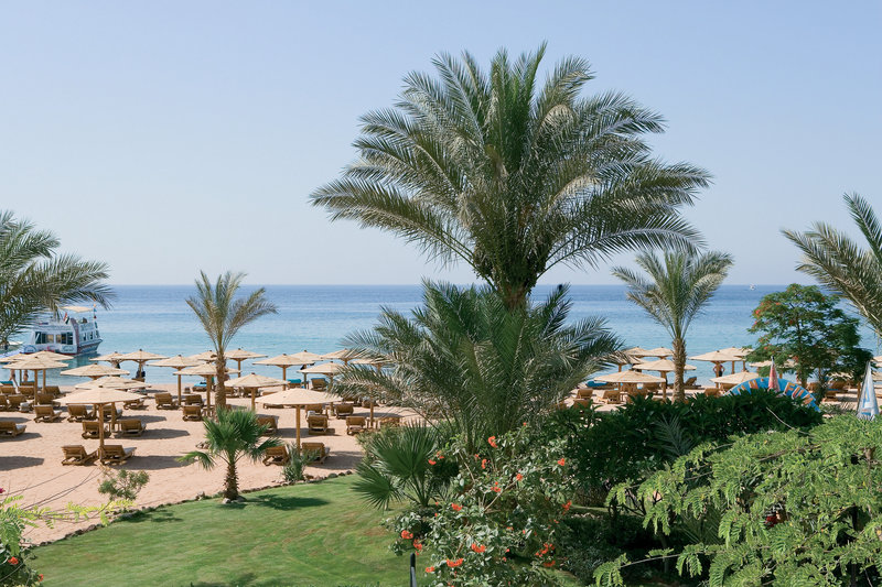Novotel Sharm el Sheikh Palm foto 10