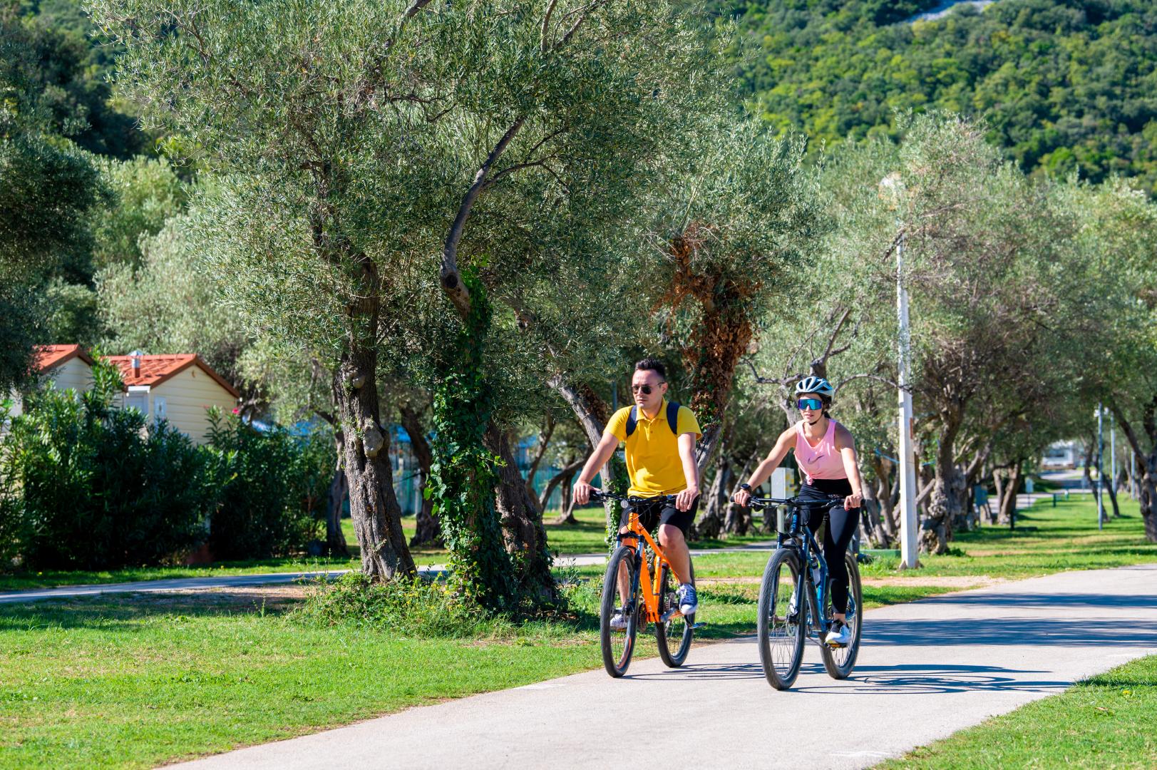 Oliva Camping Mobile homes foto 27