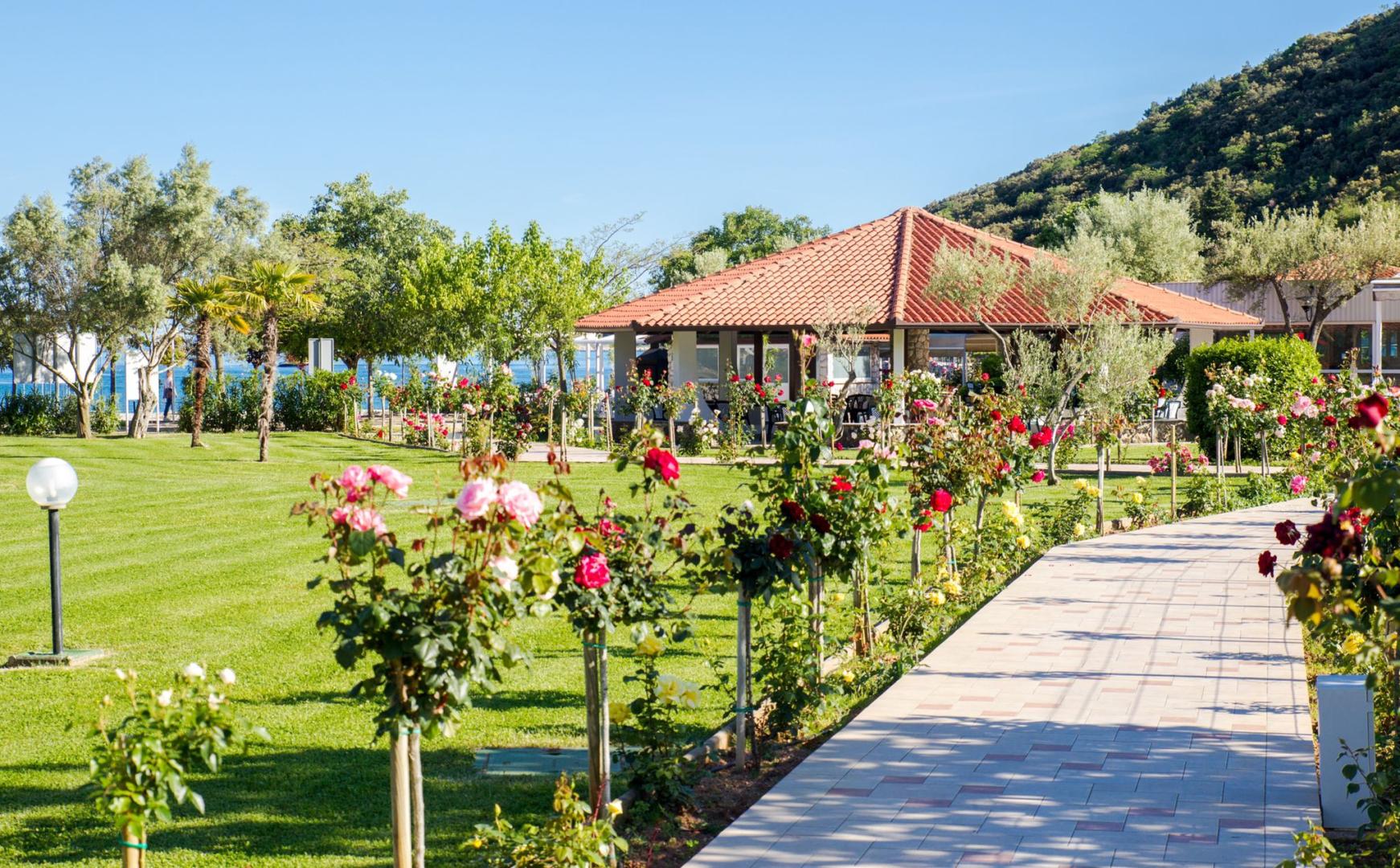 Oliva Camping Mobile homes foto 12