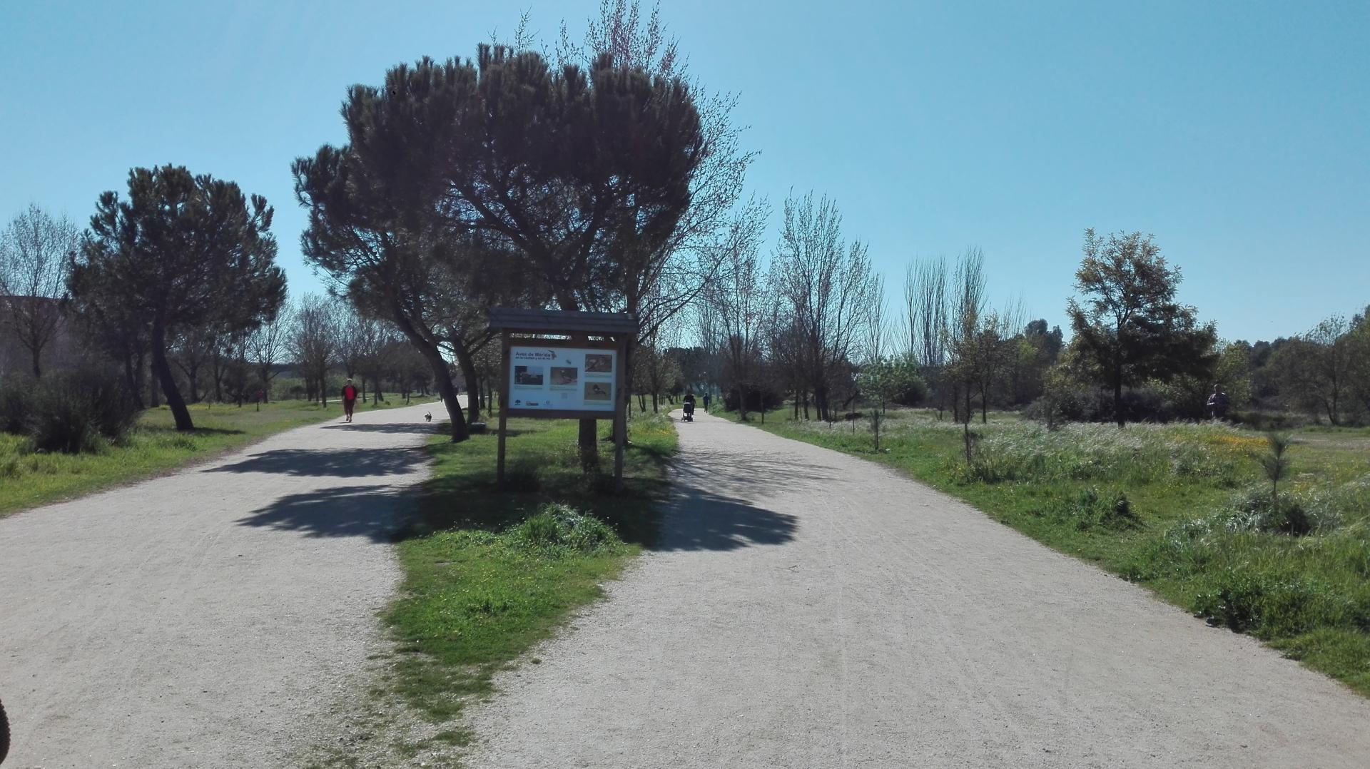 Rambla Emerita foto 14