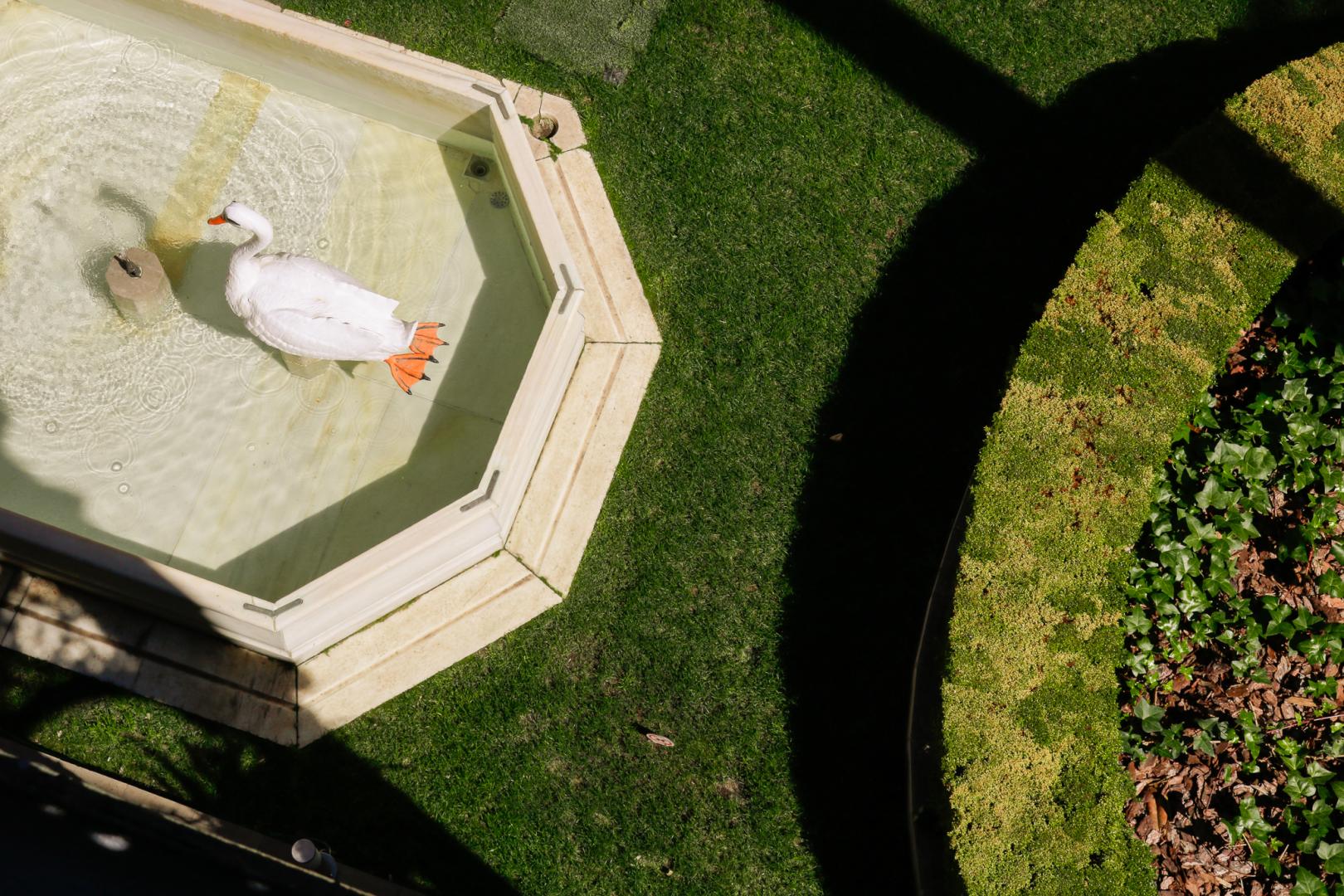 Hospes Palacio de los Patos, a Member of Design Hotels foto 40