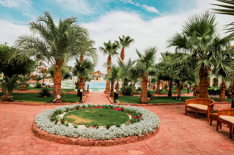 Tropitel Dahab Oasis foto 67
