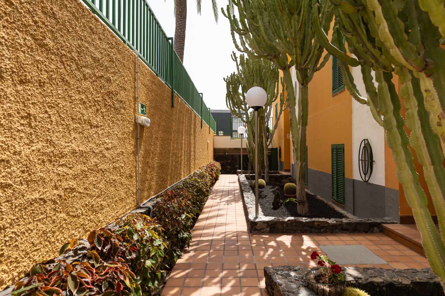 Judoca Beach Apartments foto 6