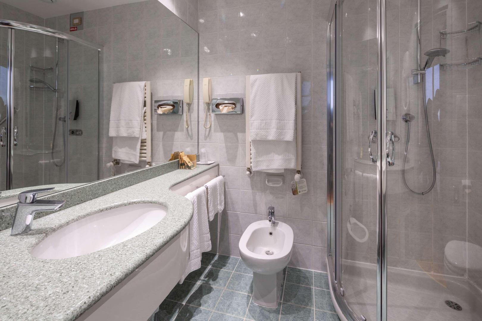 Best Western Air Hotel Linate foto 49